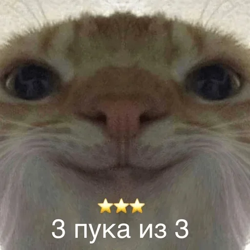 Sticker Klounisme - 1