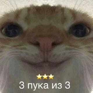 Sticker Клоунизость - 1