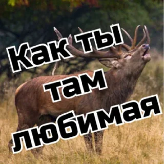 Sticker Клуб_к - 8
