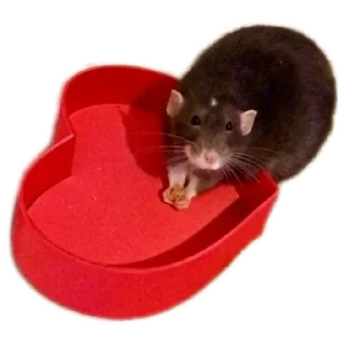 Стикер Клыски - 6