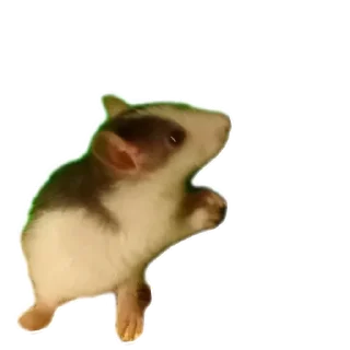 Стикер Клыски - 5