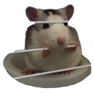 Стикер Клыски - 8