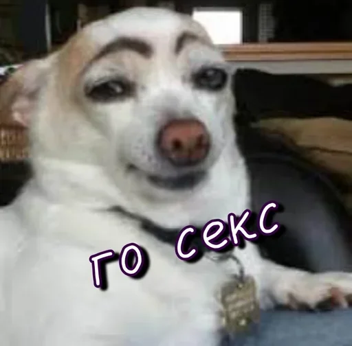 Sticker KmcaoNuKvQRlIjMas_by_stickers_stealer_bot - 1