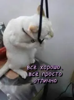 Sticker @StickersFuck1 - 2