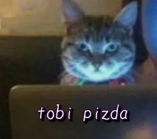 Sticker @StickersFuck1 - 4