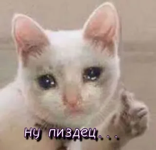 Sticker @StickersFuck1 - 8