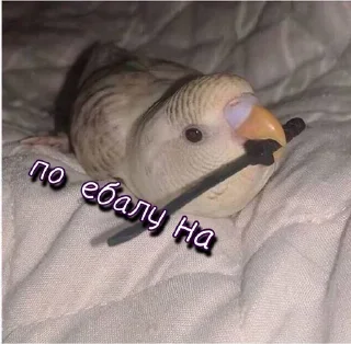 Sticker @StickersFuck1 - 3