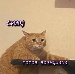 Sticker @StickersFuck1 - 0