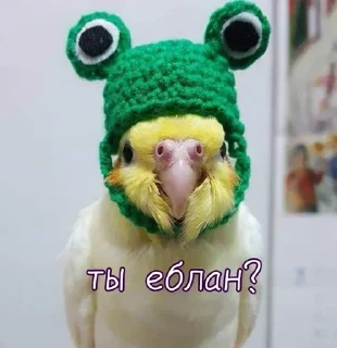 Sticker @StickersFuck1 - 9