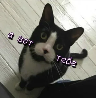 Sticker @StickersFuck1 - 11