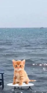 Sticker @sexstikkers - 5