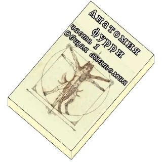 Sticker Книжки - 7