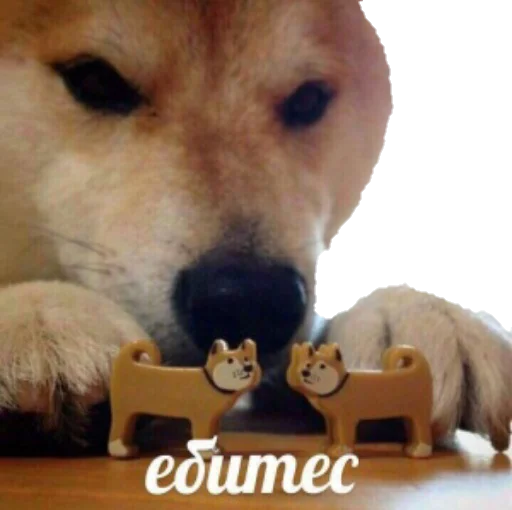 Sticker Knocksuka - 1