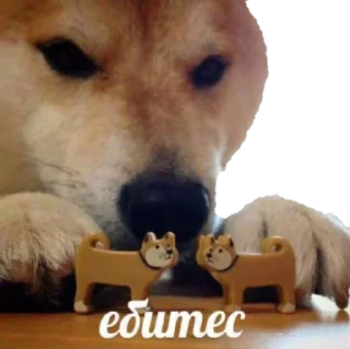 Стикер Superpuper - 6