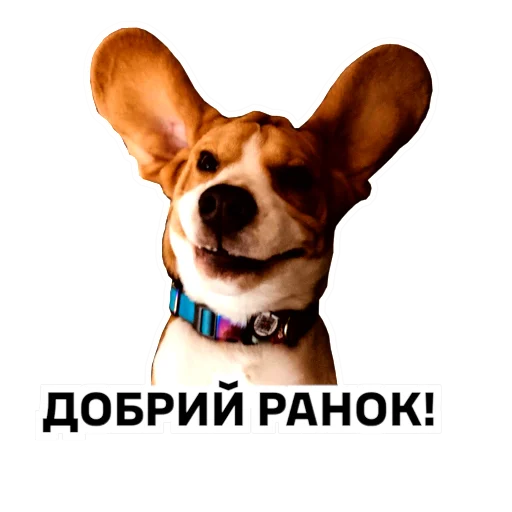 Sticker Knyazivska - 1