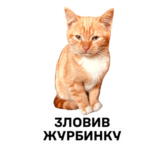 Sticker Knyazivska - 1