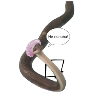 Sticker Кобрбля - 1