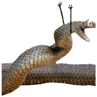 Sticker Кобрбля - 9