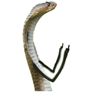 Sticker Кобрбля - 11