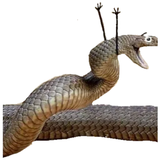 Sticker Kobryatina30 - 1