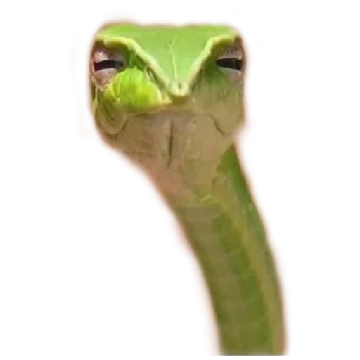 Кобрятина - 