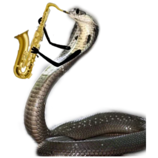 Sticker Kobryatina30 - 1