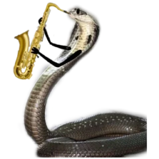 Стикер Кобрятина - 1