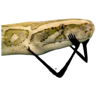 Стикер Кобрятина - 9