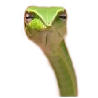 Стикер Кобрятина - 8