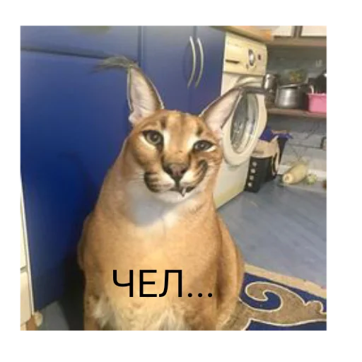 Стикер Kokocik - 1