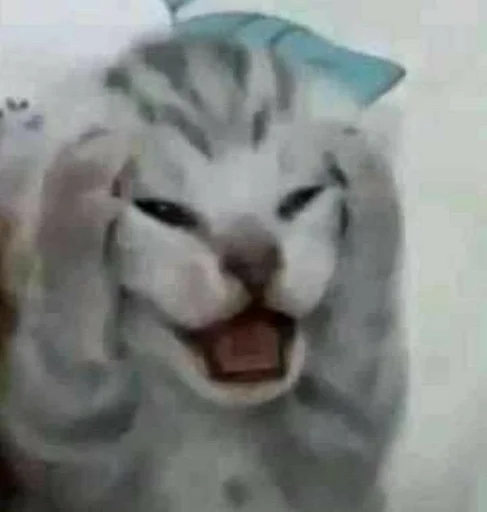 животное млекопитающее эскиз