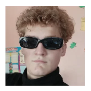 Sticker илья отлижи - 8