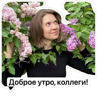 Стикер Коллеги! - 0