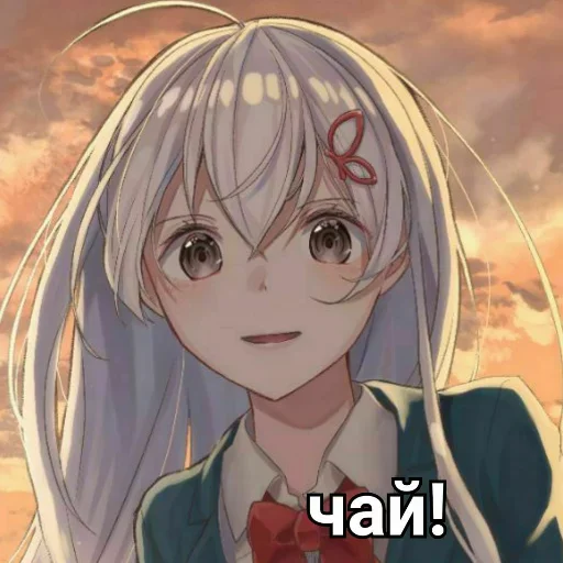 Sticker Kollektorstiker2 - 1