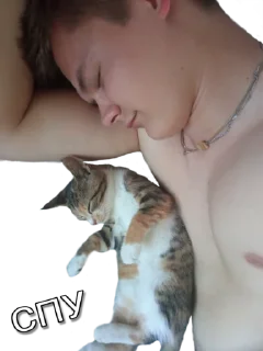 Sticker Dimmemas - 1