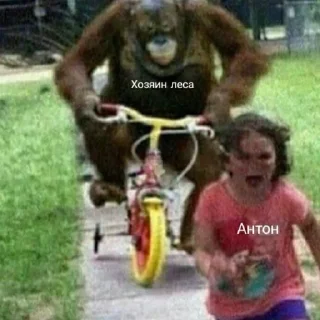 Стикер Зайчик MEMES - 7