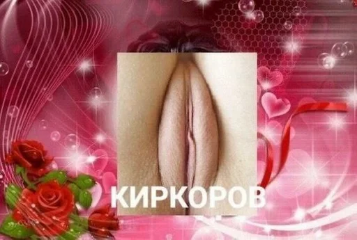 rose pink valentine's day