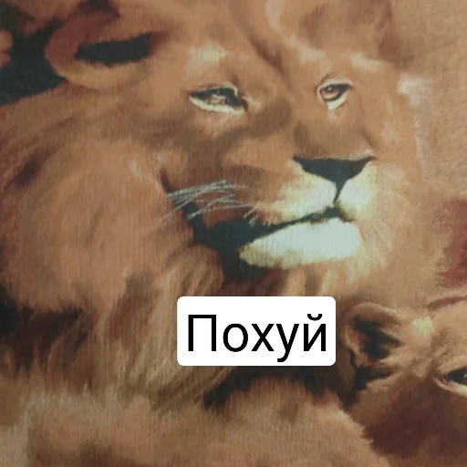 Стикер Колямба и еще какие то лохи - 7