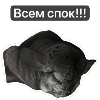 Sticker Отряд b a n k a i - 3