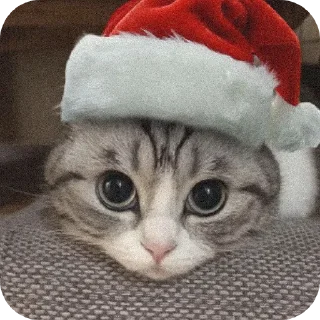 Стикер Комара от мирка,@Mirkaka1488 - 11