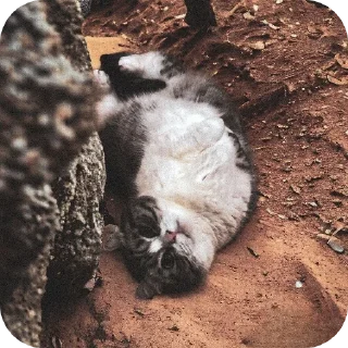 Стикер Комара от мирка,@Mirkaka1488 - 3