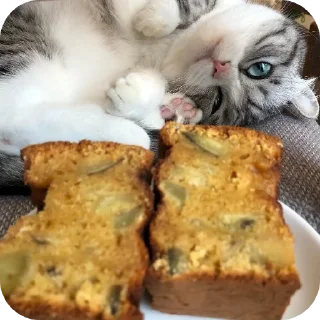 Стикер Комара от мирка,@Mirkaka1488 - 1