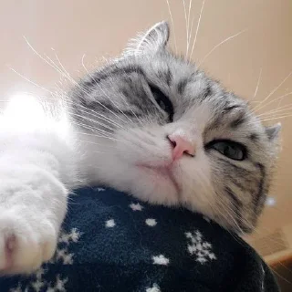 Sticker Комариус @doshikopol - 11