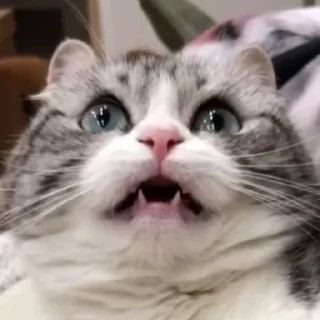 Sticker Комариус @doshikopol - 7