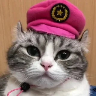 Sticker Комариус @doshikopol - 10