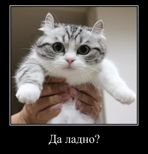 Sticker KomaruExpressions - 1