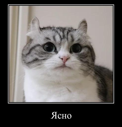 Sticker KomaruExpressions - 1