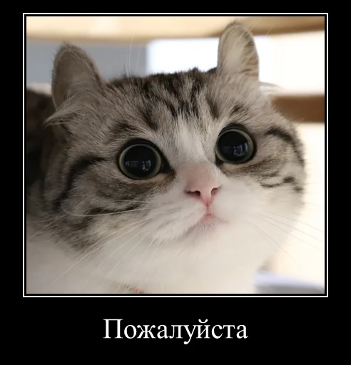 Sticker KomaruExpressions - 1