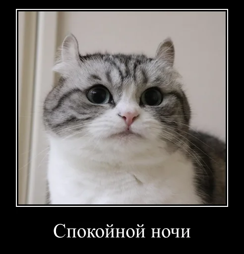 Sticker KomaruExpressions - 1