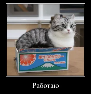 Sticker Komaru Expressions - 4